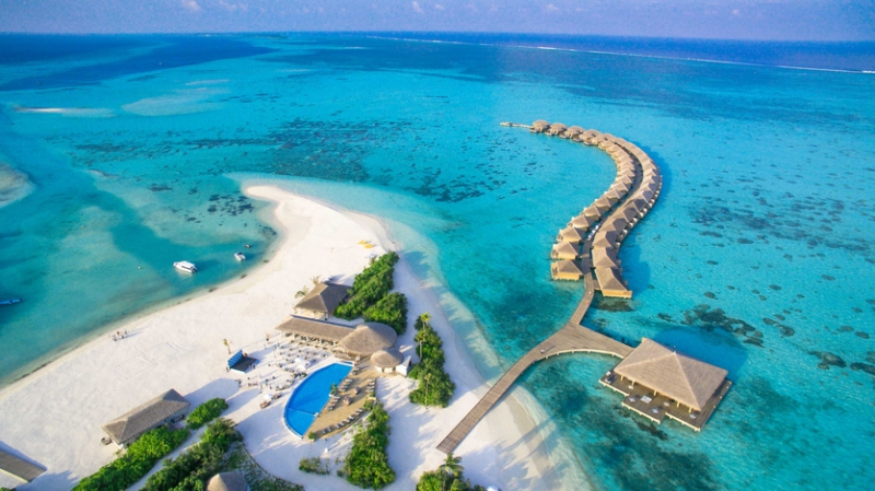 Дизайн и дайвинг: чем славится отель Cocoon Maldives