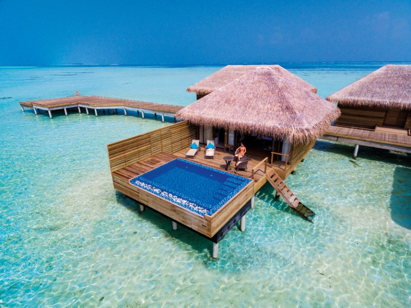 Дизайн и дайвинг: чем славится отель Cocoon Maldives