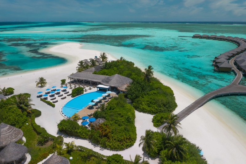 Дизайн и дайвинг: чем славится отель Cocoon Maldives