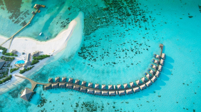 Дизайн и дайвинг: чем славится отель Cocoon Maldives