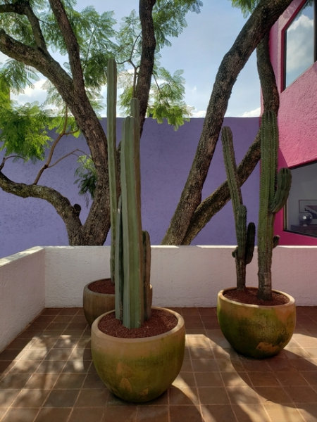 5 шедевров архитекторской мысли: дома, которые стали легендами