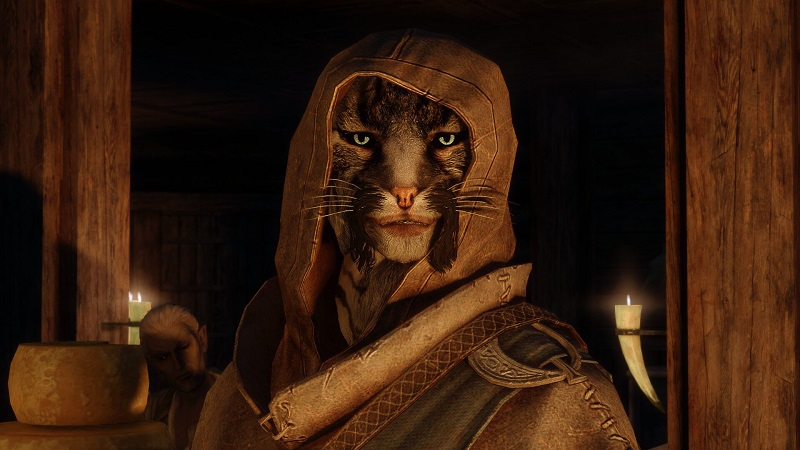 Авторитетный инсайдер прояснил, когда выйдет The Elder Scrolls VI