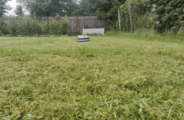 Обзор робота-газонокосилки Dreame Roboticmower A1 Pro 2000: когда на дачу приезжаешь только отдыхать